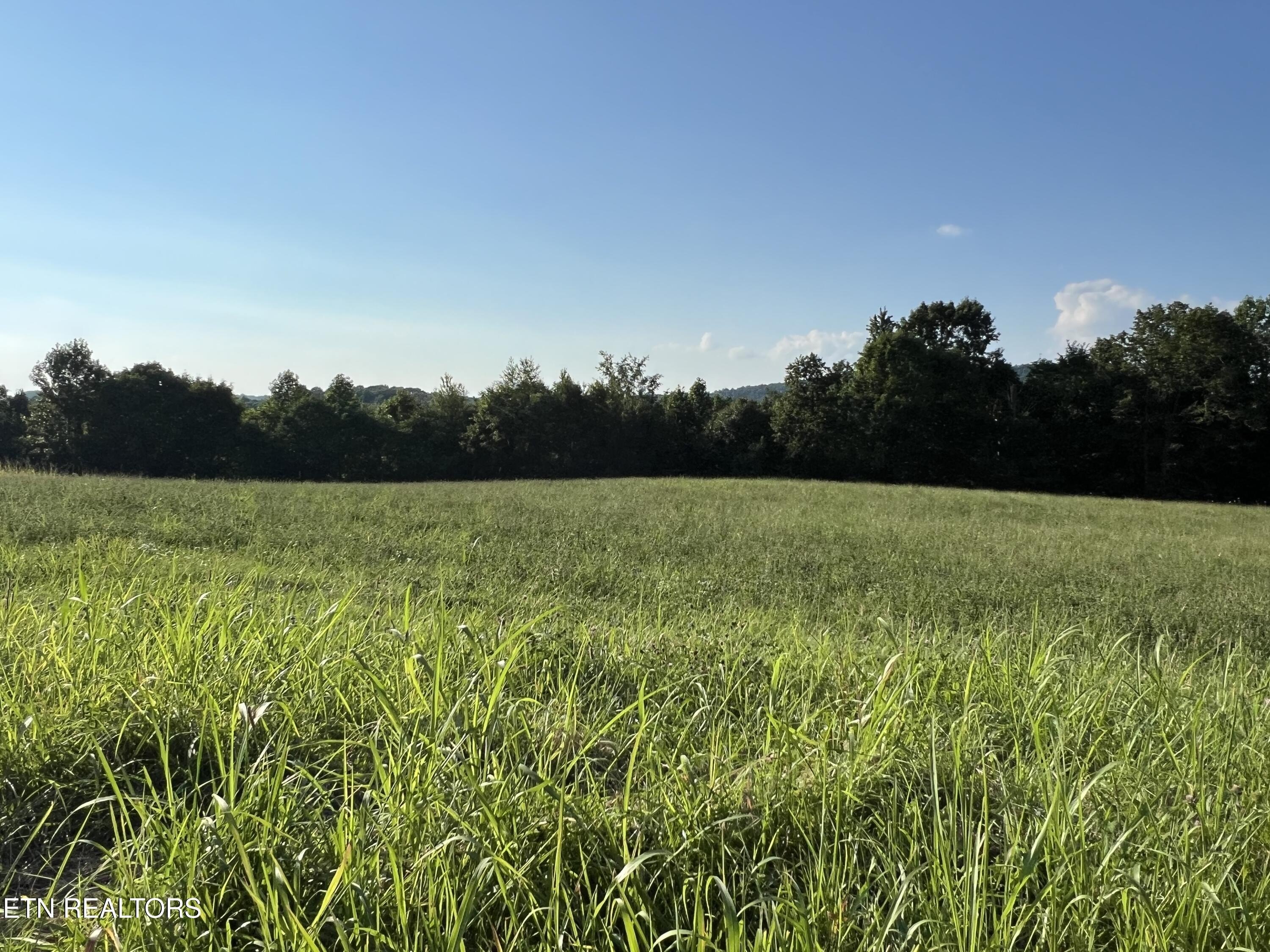 Tennessee Land with Lake Views