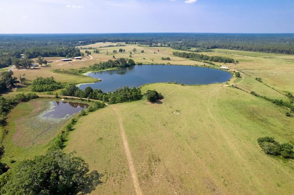 Poplarville Waterfront Land For Sale