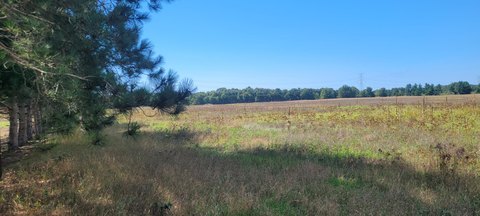 Pentwater Vacant Land Parcels Available