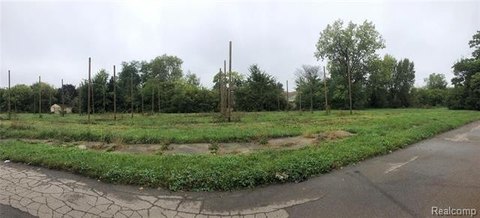 Detroit Land Bank Vacant Parcels