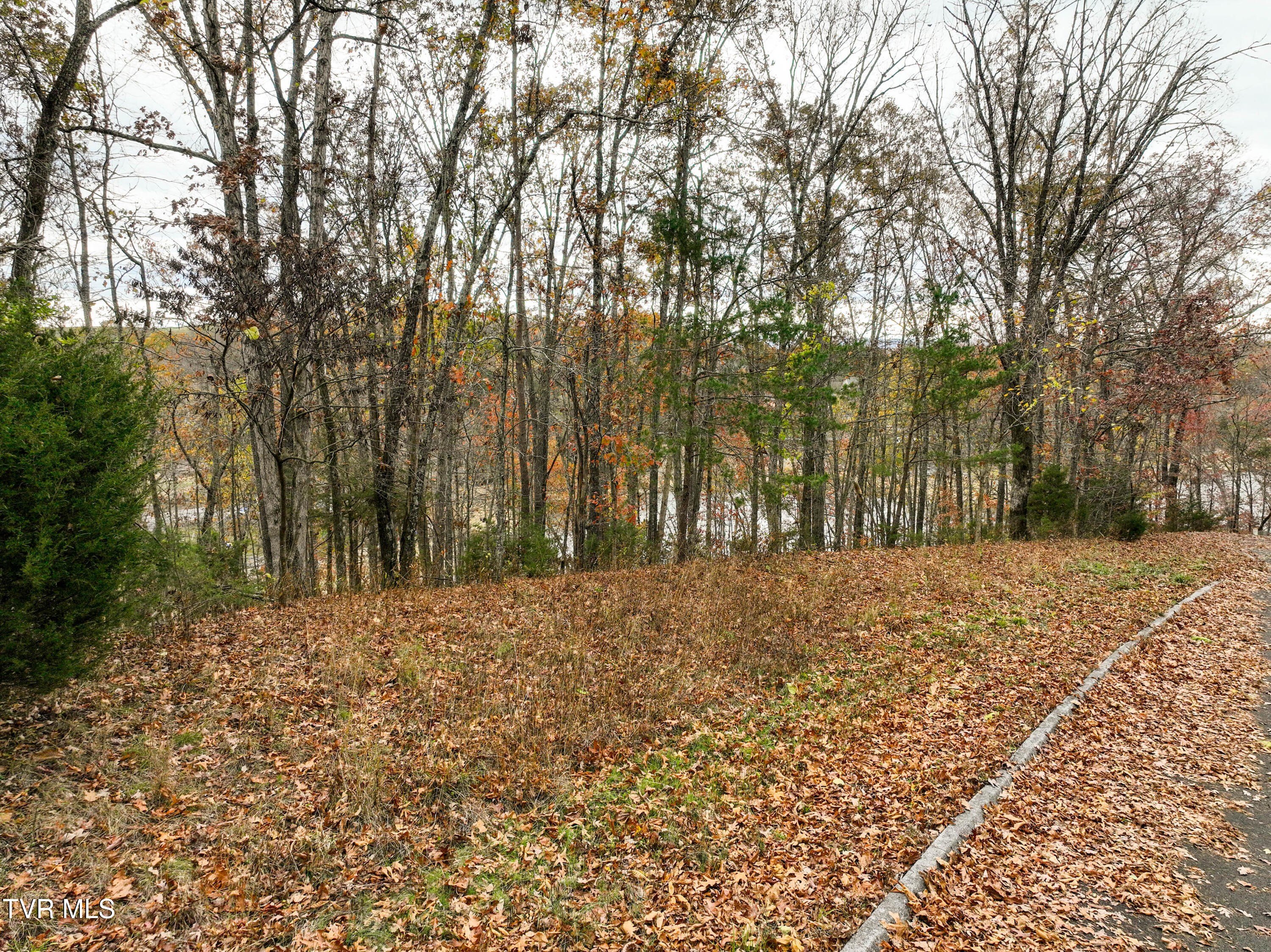 Boone Lake Waterfront Land