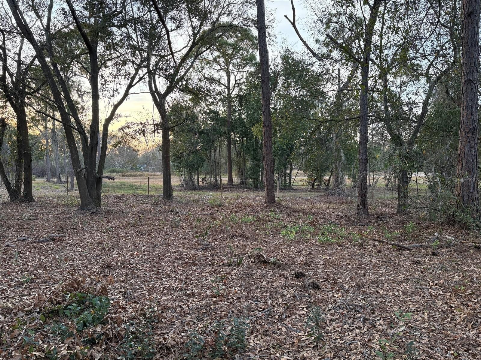 Prime Land in Bartow, FL