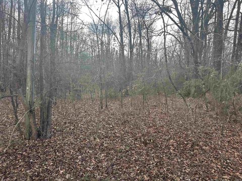 Residential Land in Established Neighborhood