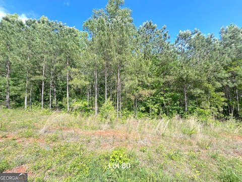 LAND - Temple, GA