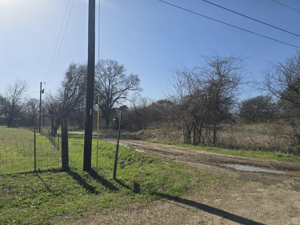 Picture 2