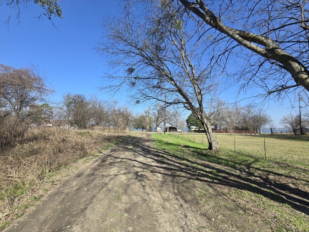 Picture 6