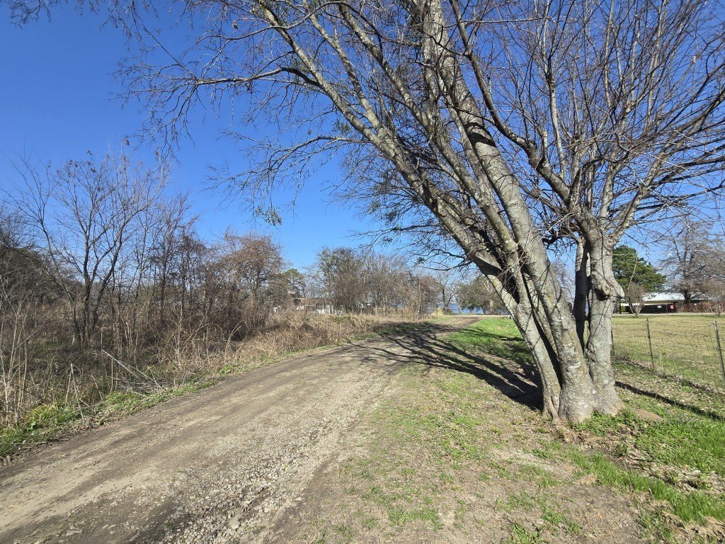 Picture 5