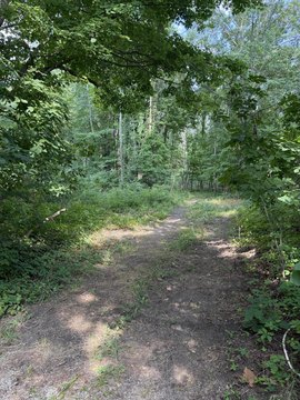 Land, Grand Junction, MI