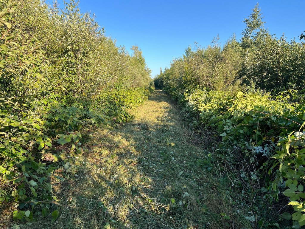 Picture 48