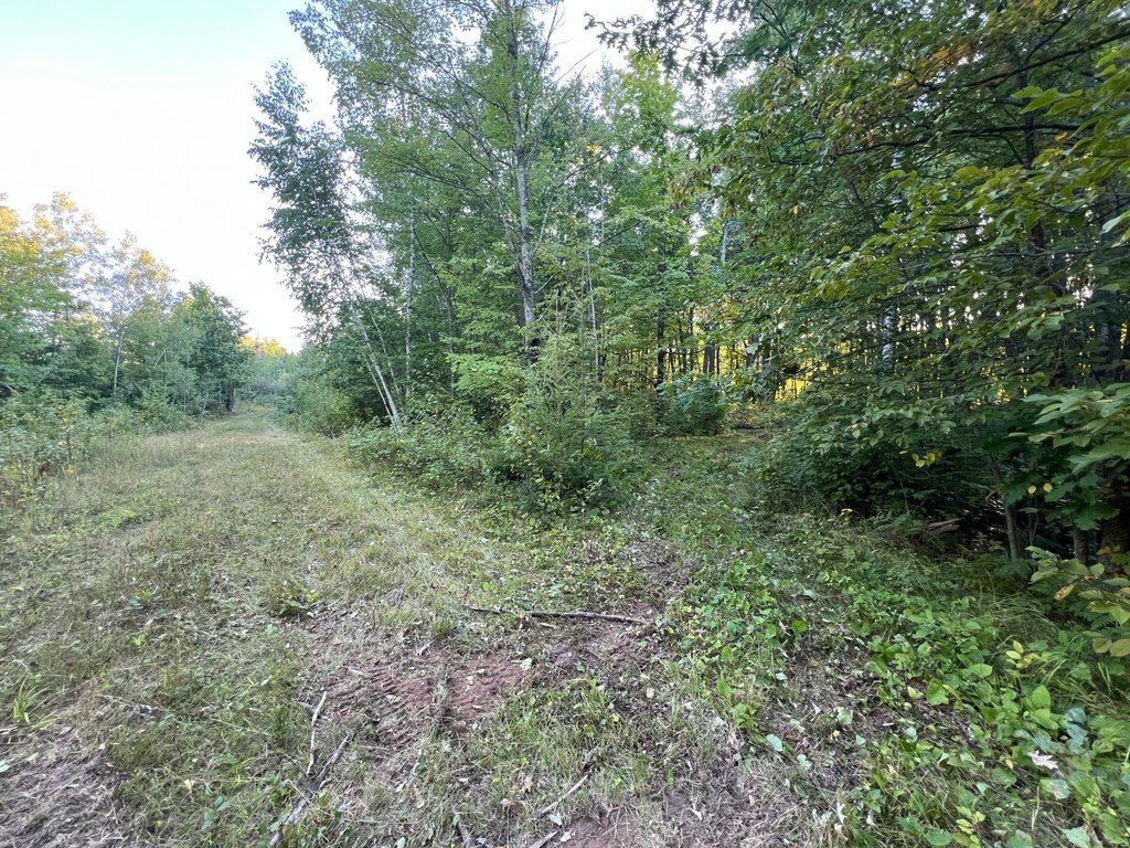 Picture 37