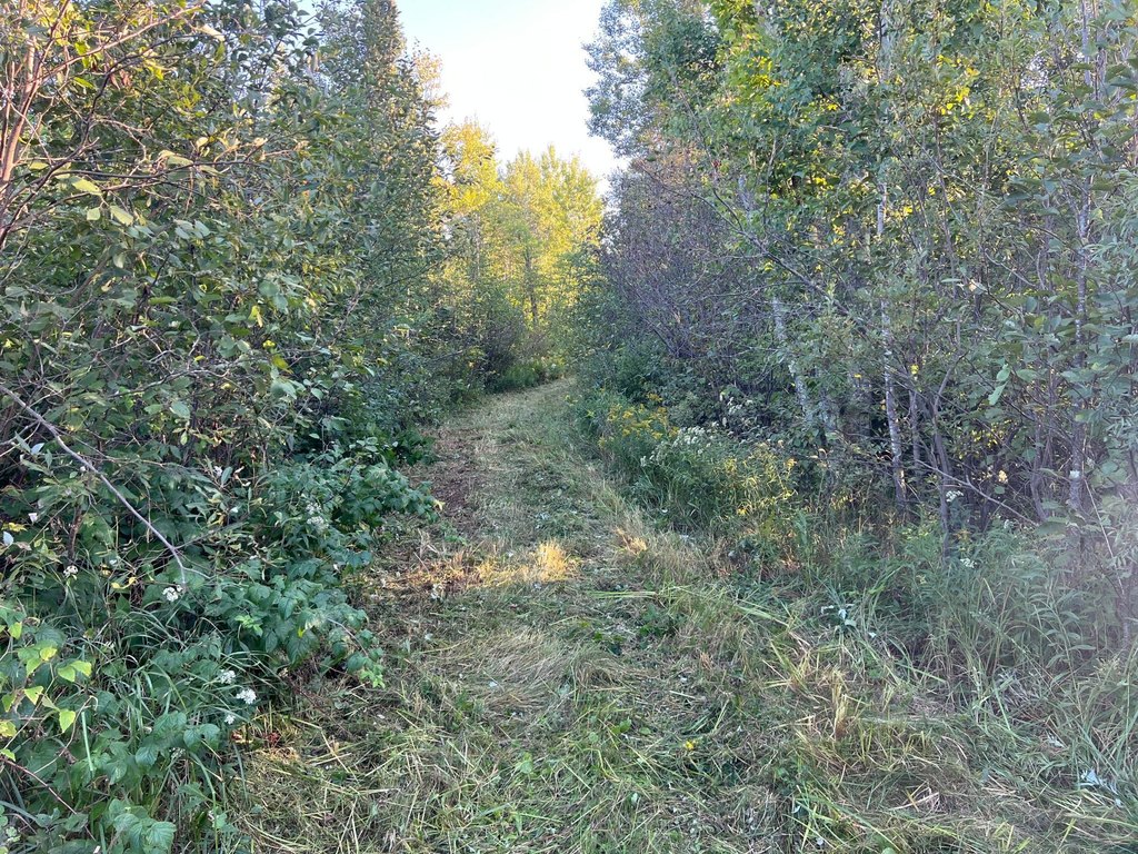 Picture 32