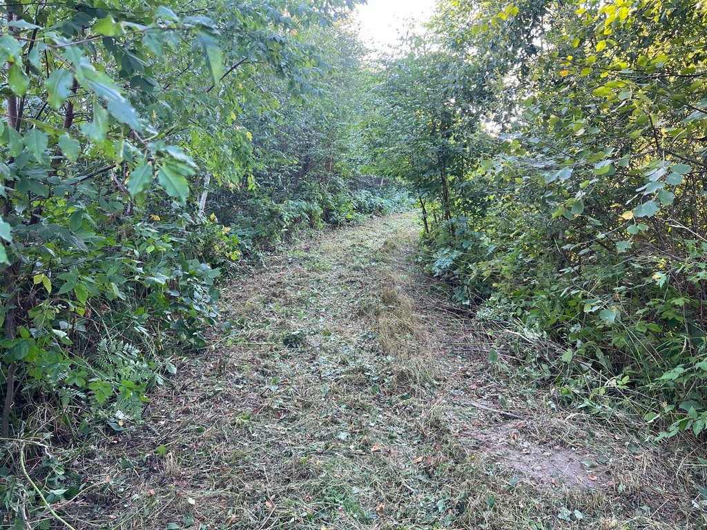 Picture 30