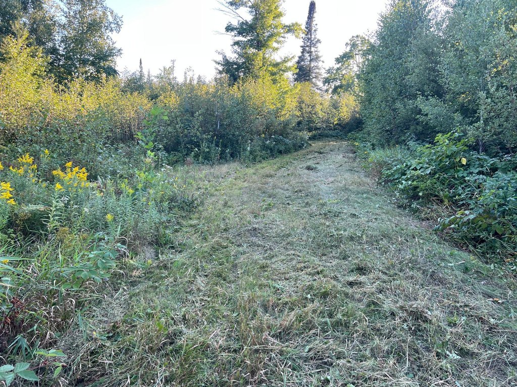 Picture 28