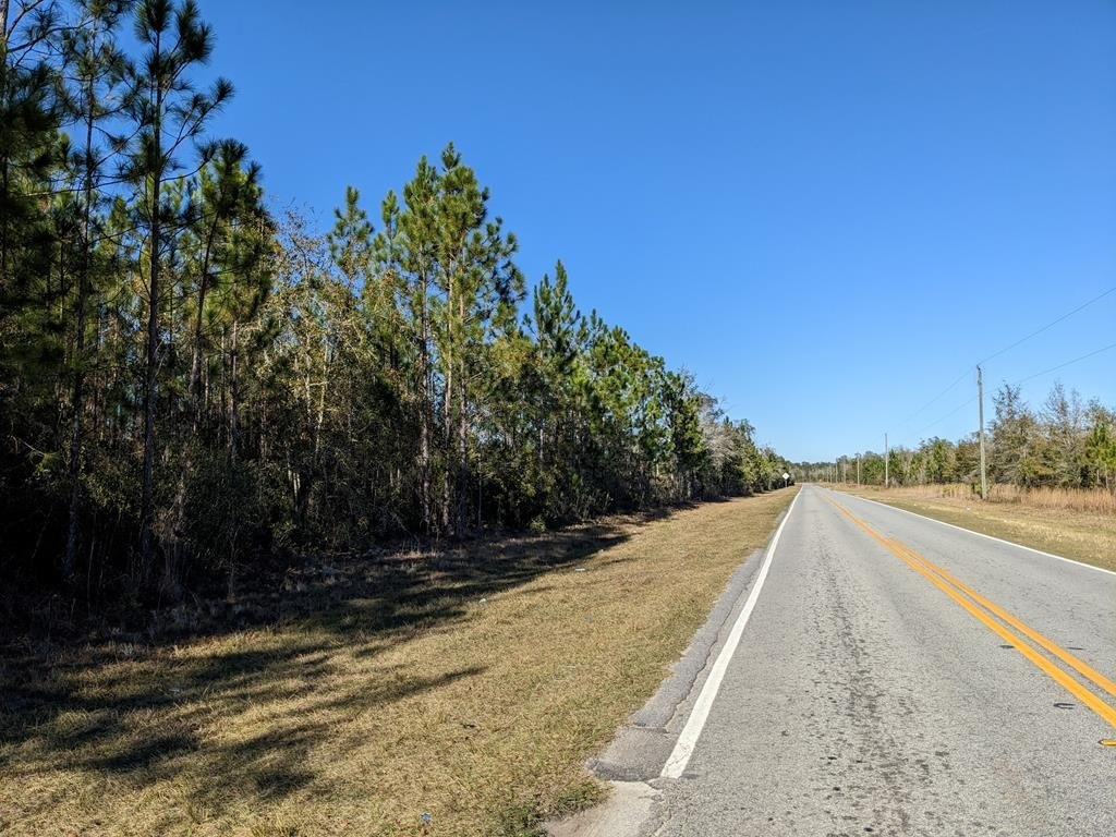 Picture 16
