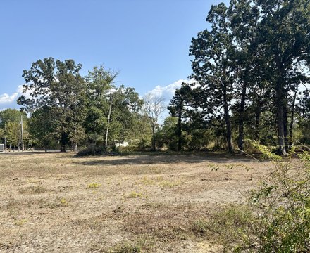 Buildable Land in Taneyville, MO