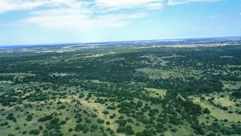 Picture 29