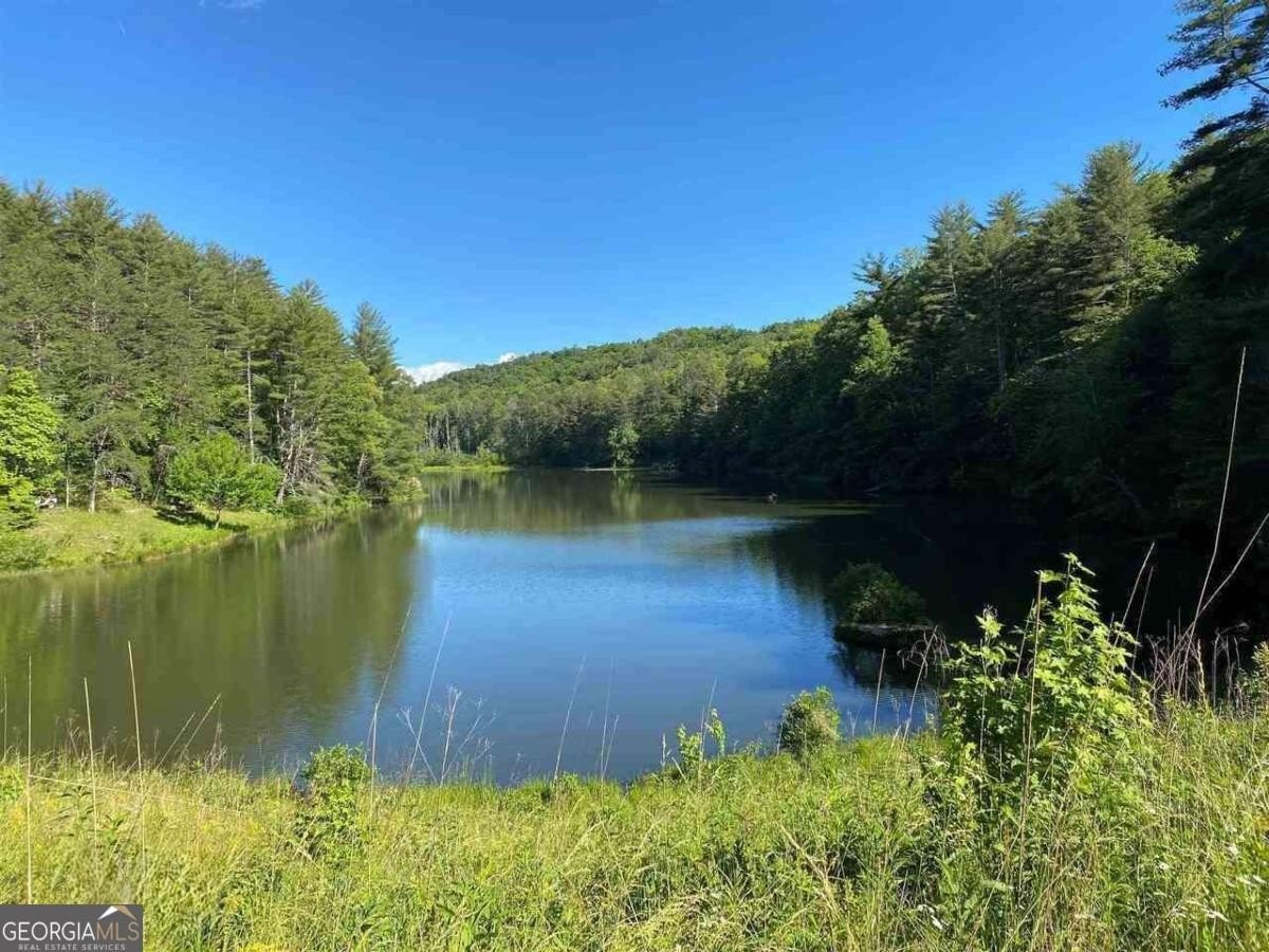 351+ Acres Mountain Property