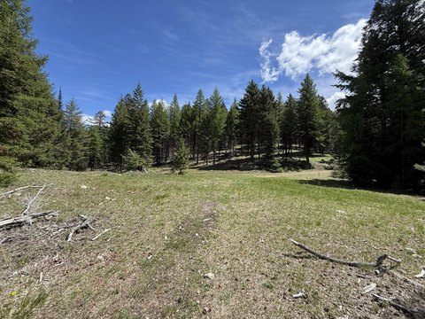 WAUCONDA Acreage with 360 Views