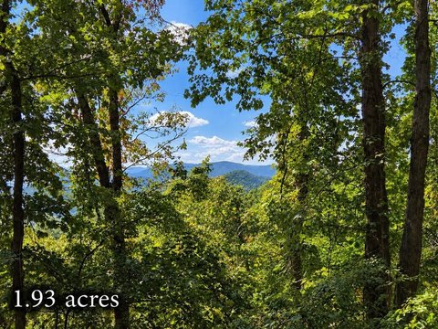 Land, Waynesville, NC