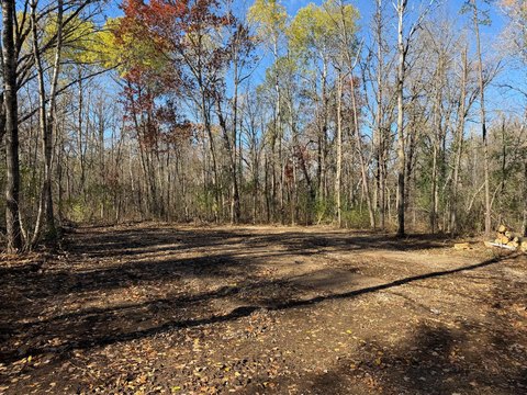 Land, Pillager, MN