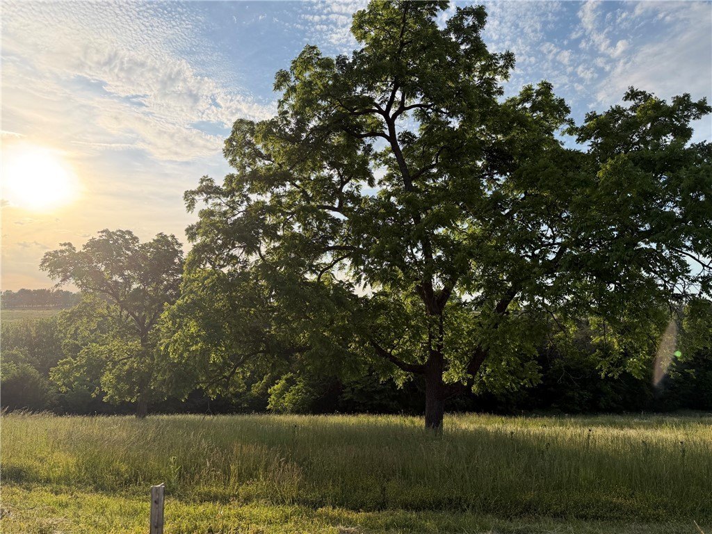 Picture 21