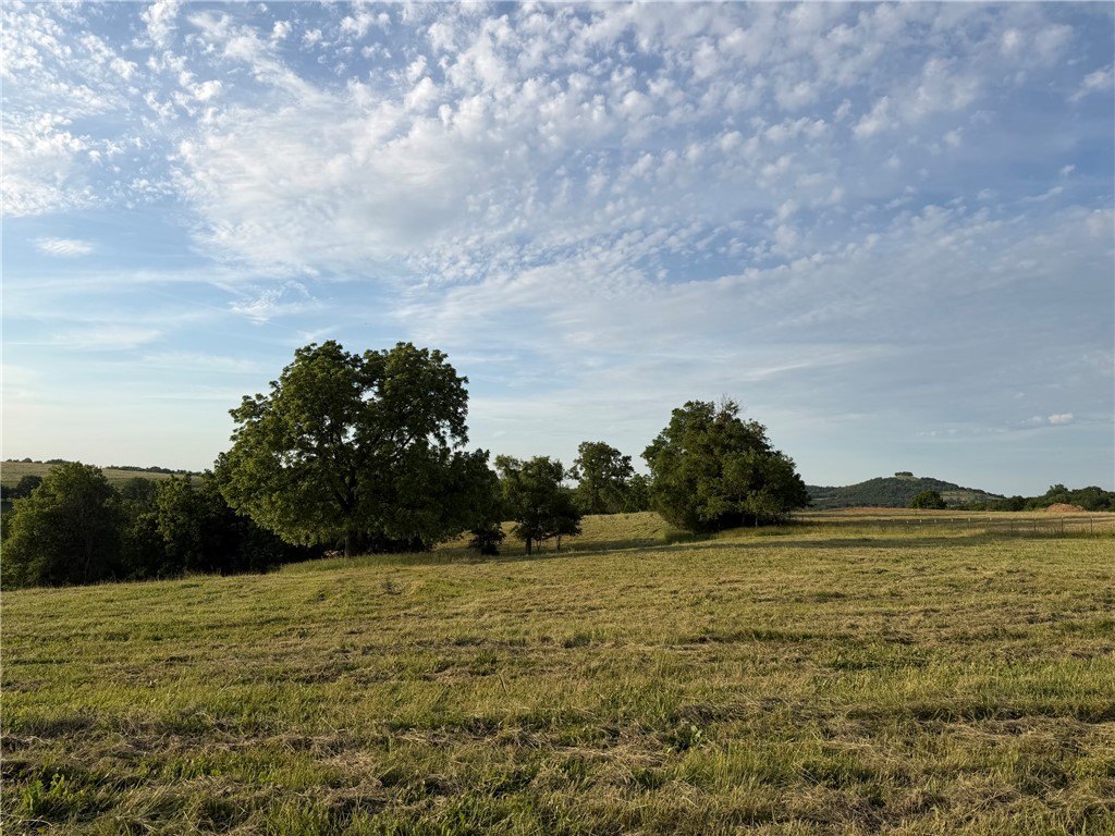 Picture 15