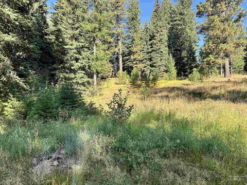 LAND - Donnelly, ID