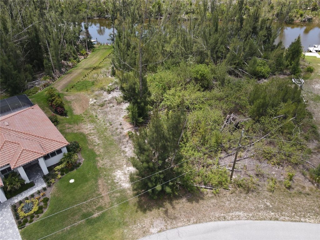 Picture 15