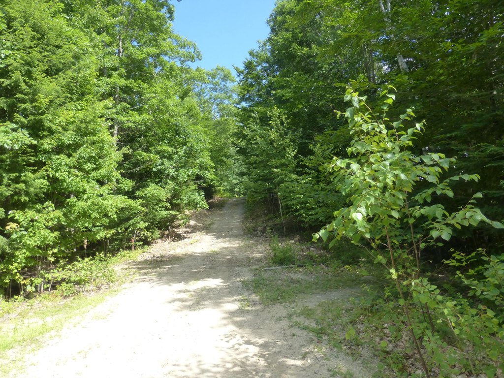 Picture 2