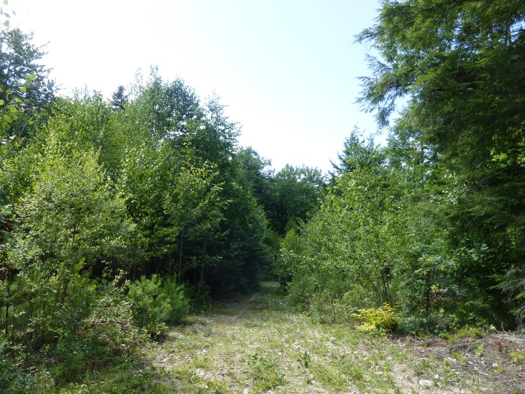 Picture 3
