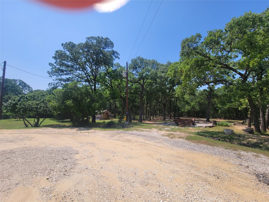 Picture 4