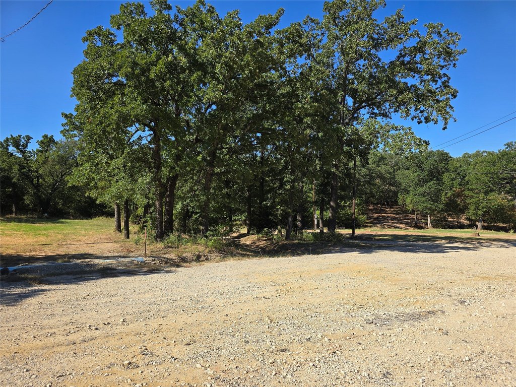 Picture 14