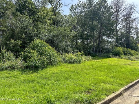 Commercial Lot Near Springridge Road