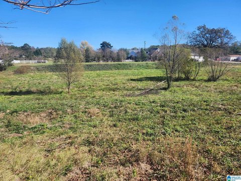 LAND - COLUMBIANA, AL
