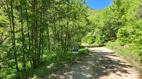 Gated Resort Lot in Single-Family Area