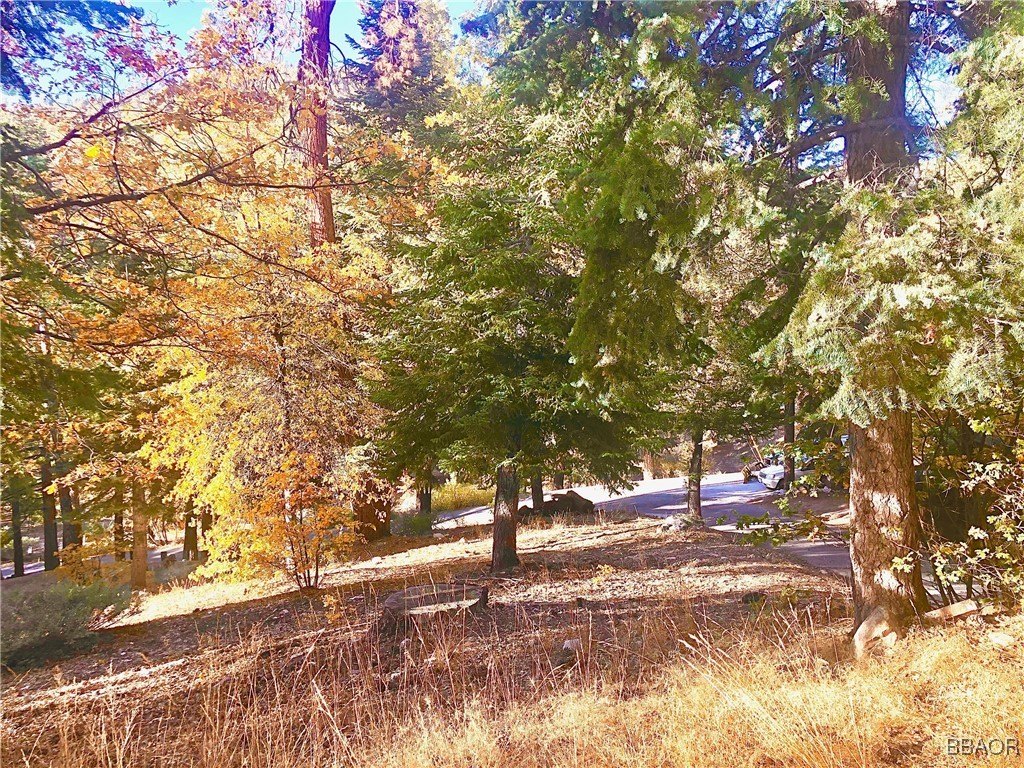 Picture 3