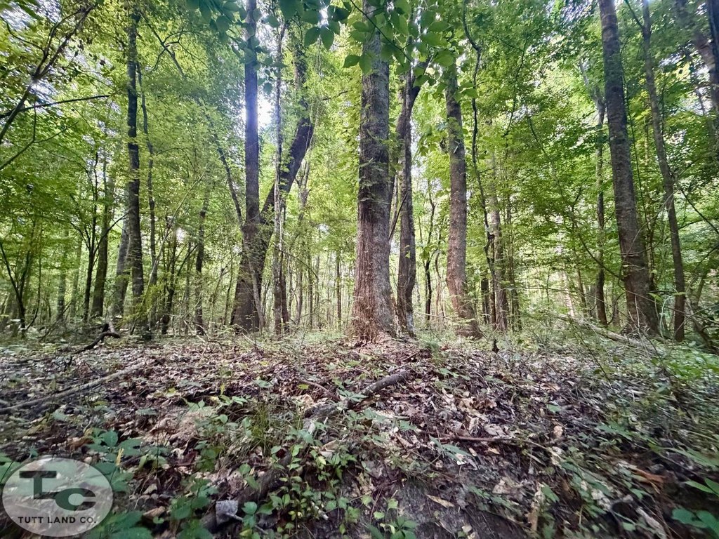 Picture 17