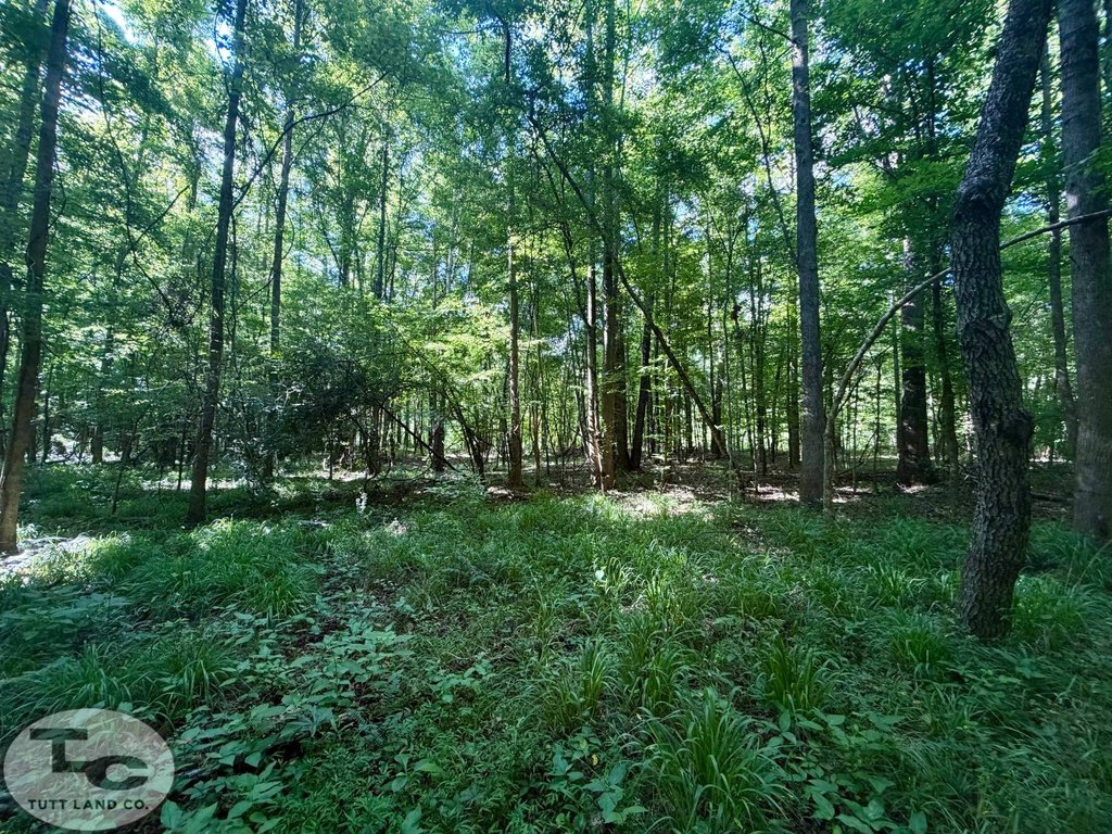 Picture 11