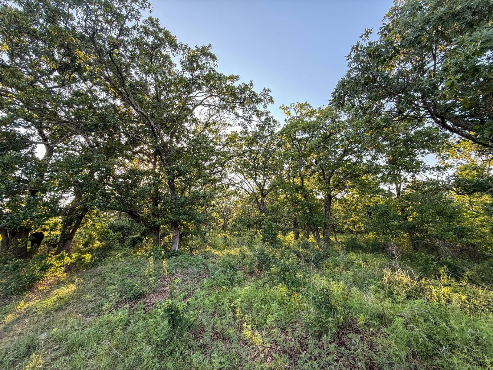 Oklahoma Hunting and Recreational Ranch