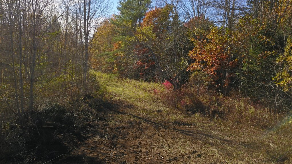 Picture 7