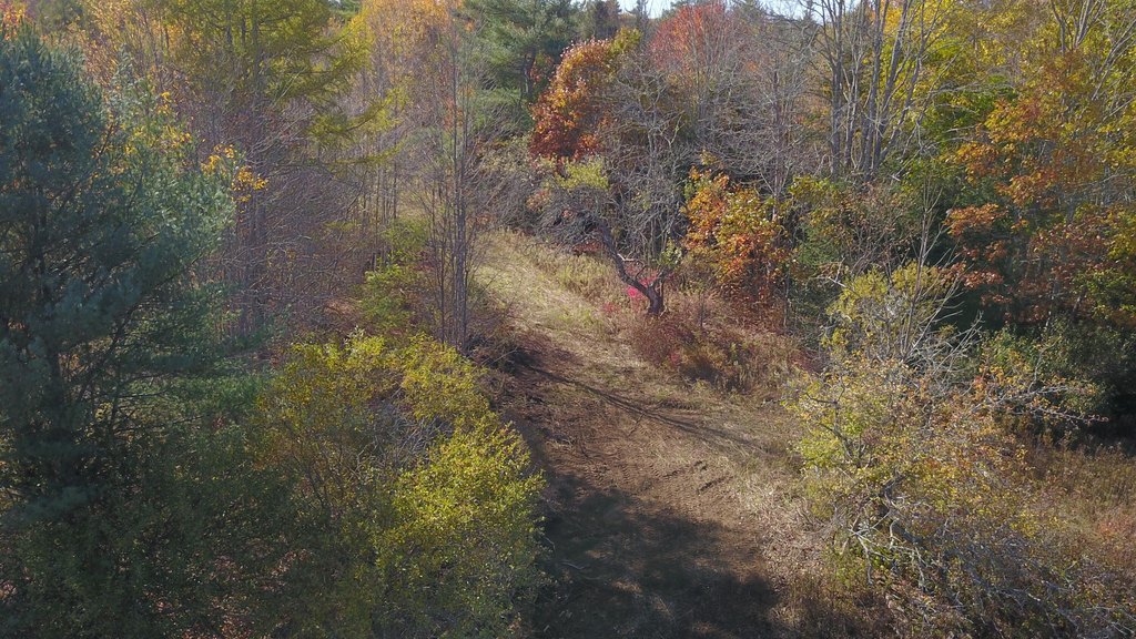 Picture 8
