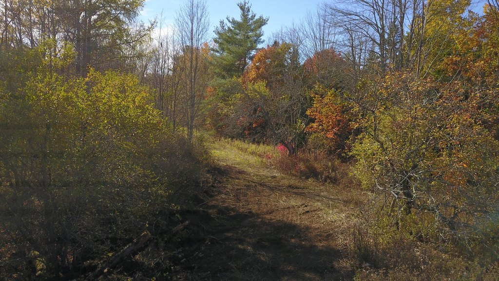 Picture 9