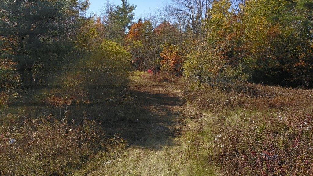 Picture 4