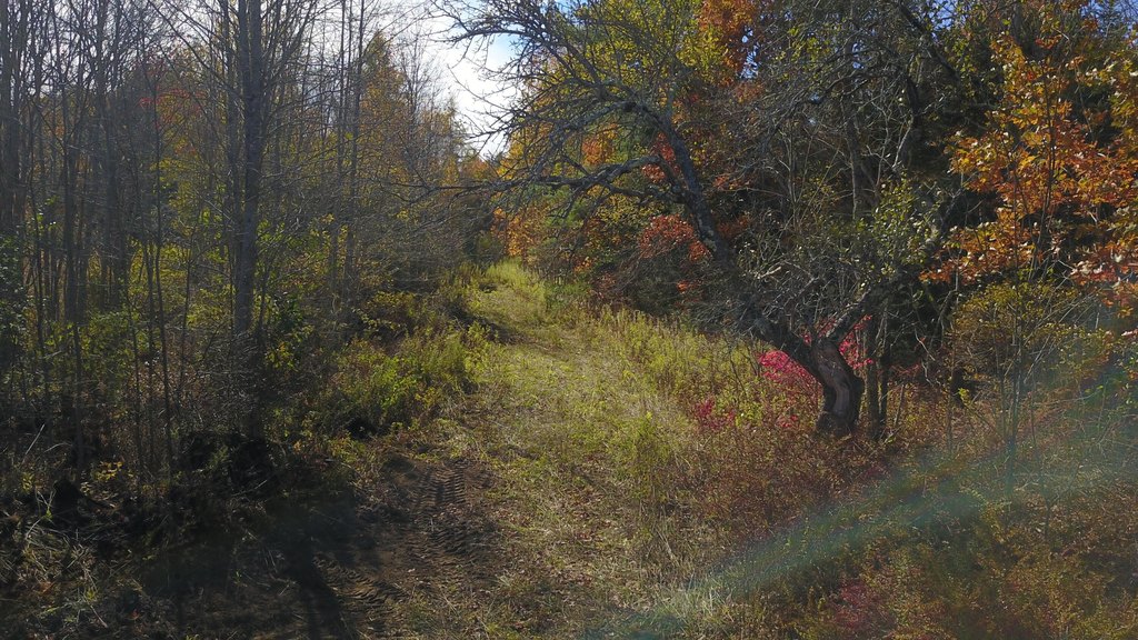 Picture 5