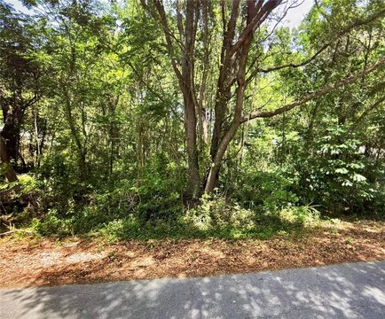 Residential Lot in Silver Springs