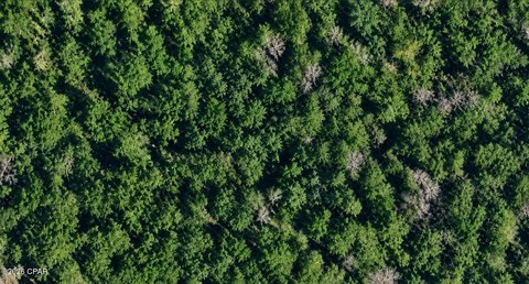 Land, Chipley, FL