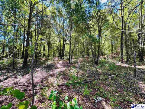 Land, Cheraw, SC