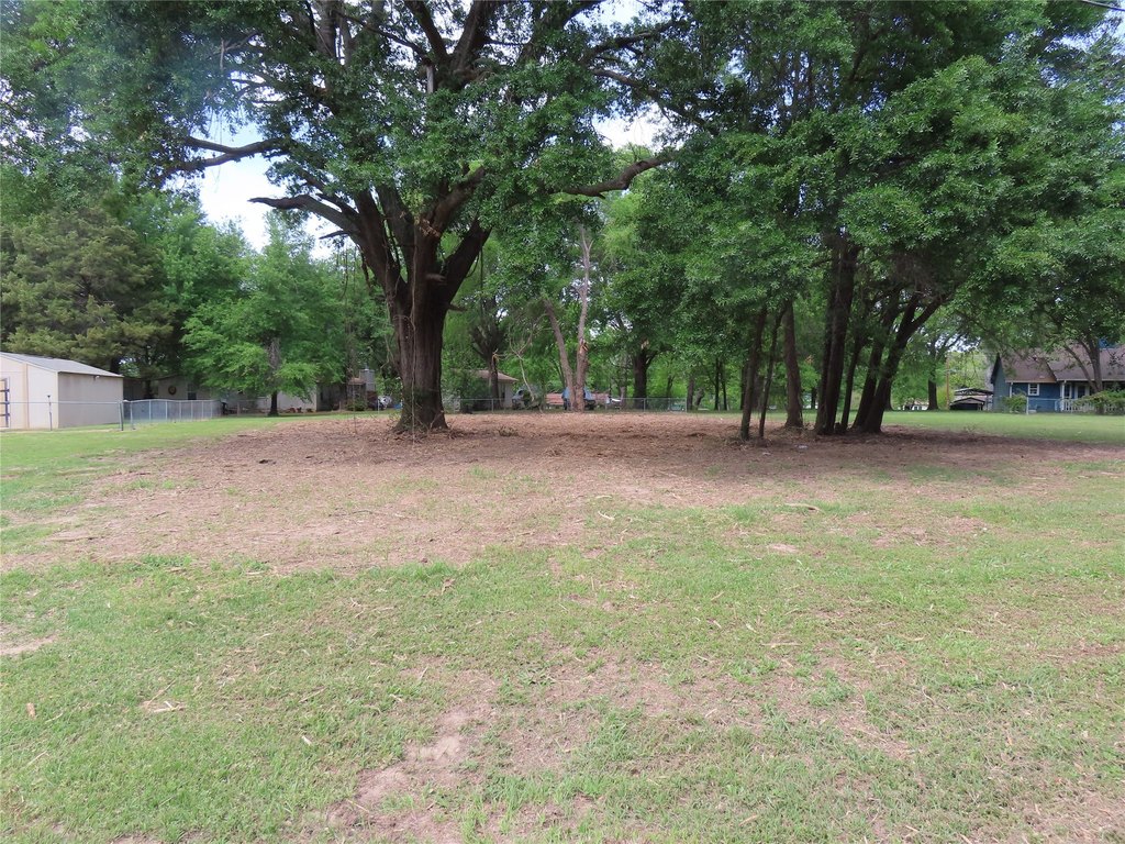 Picture 4