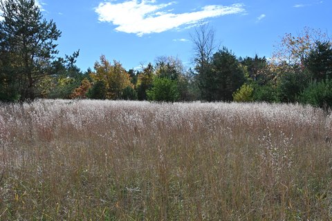 Kalkaska Land Parcel For Sale