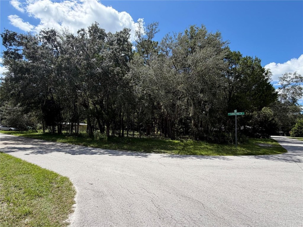 Picture 8
